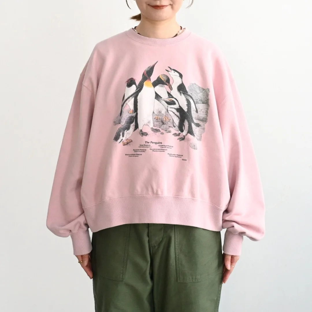 

Весна 2026: Свободные парные худи с принтом граффити-пингвинов, повседневные хлопковые свитшоты с круглым вырезом и длинным рукавом, в стиле кэжуал для города