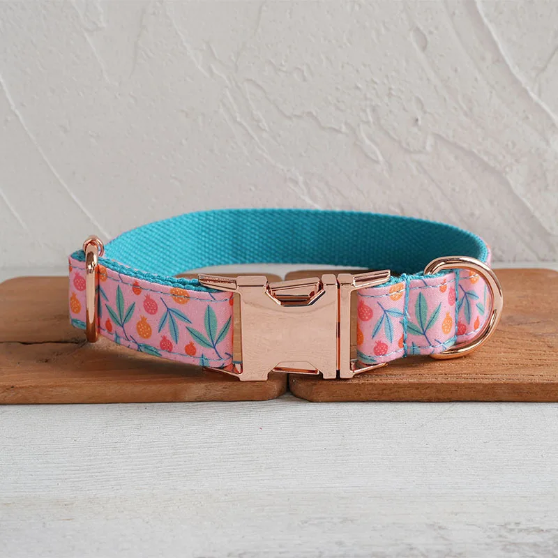 Рисунок 2 - Персонализированный ошейник для