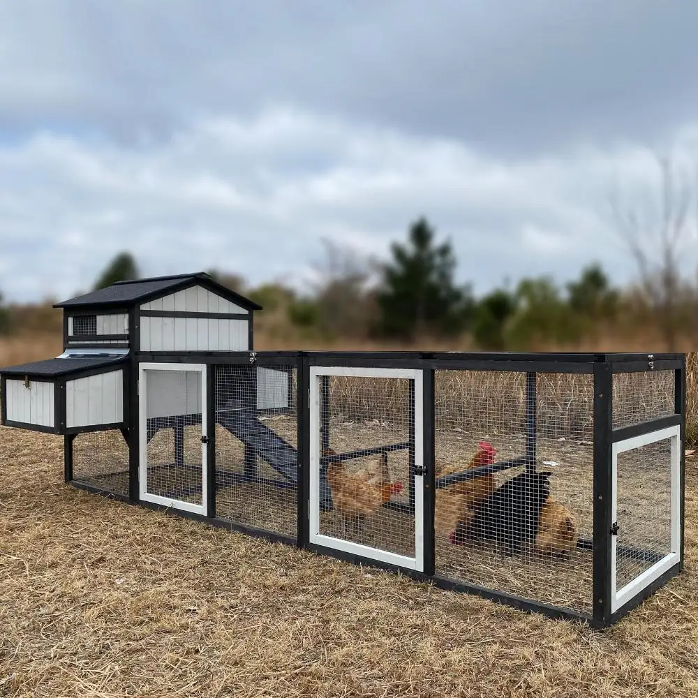 Extra Large Chicken Coop 116