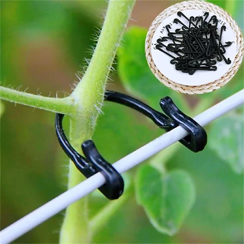 100 Stück Pflanzenreben-Befestigungsclips Garten-Traubenstützen Kletterpflanzen-Clips Gemüse-Befestigungsclips Pflanzenhalter