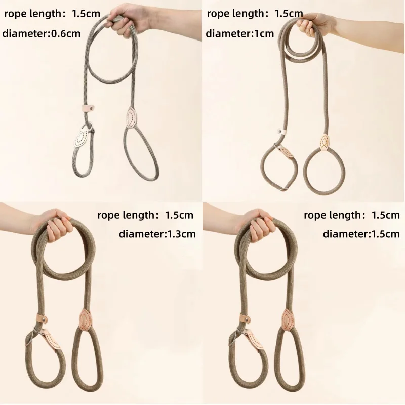Heavy Duty Slip Rope Leash 6