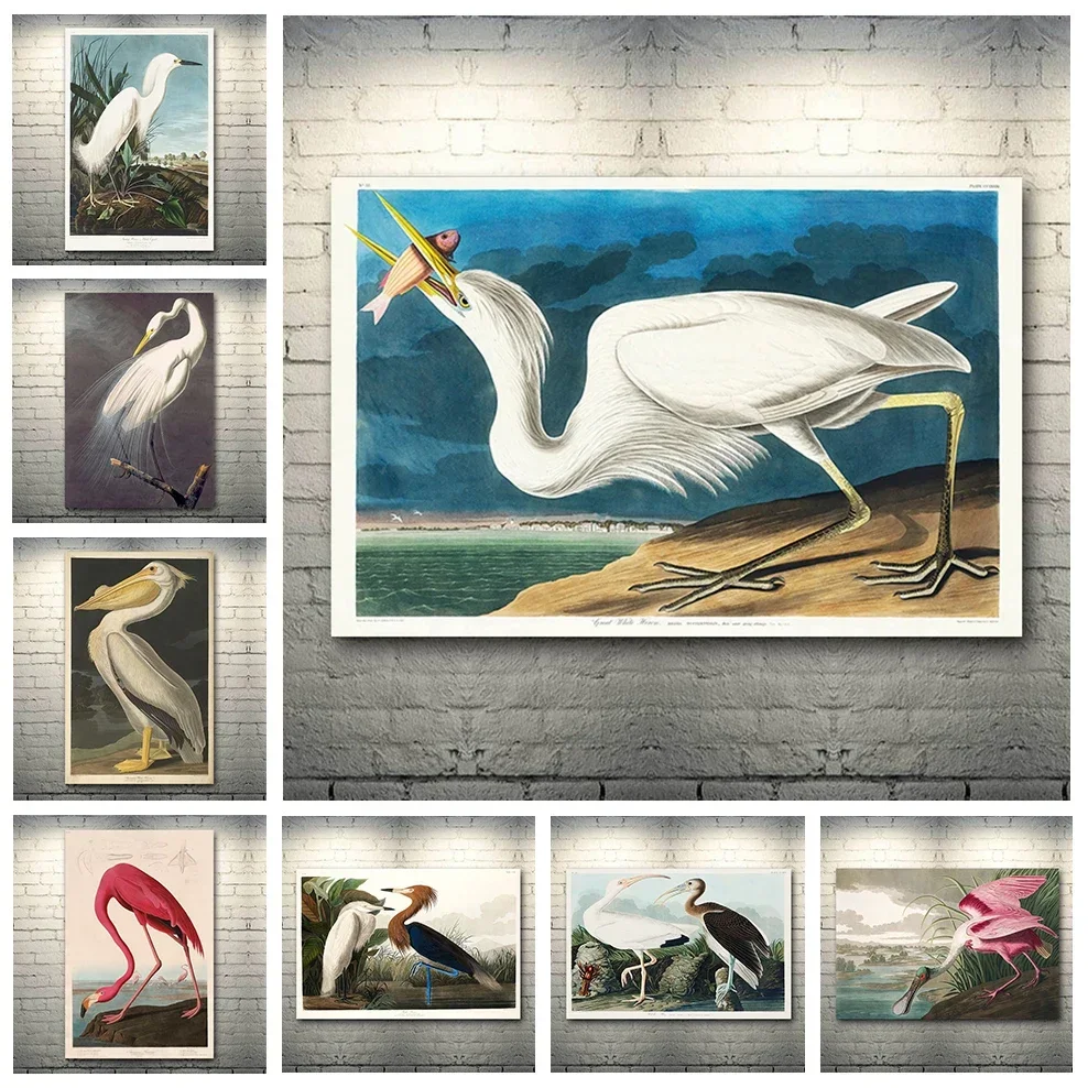 (No frame)(No frame)John James Audubon Artwork Illustrated Birds of America Poster Canvas Painting HD Print Wall Posters Livi