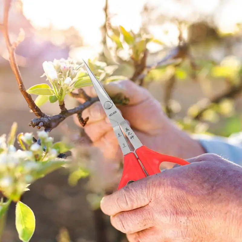 مقص العنب الملقط البستنة أداة مقص 2 في 1 فرع بونساي مقص مع الملقط الفاكهة العنب قطف أداة #5