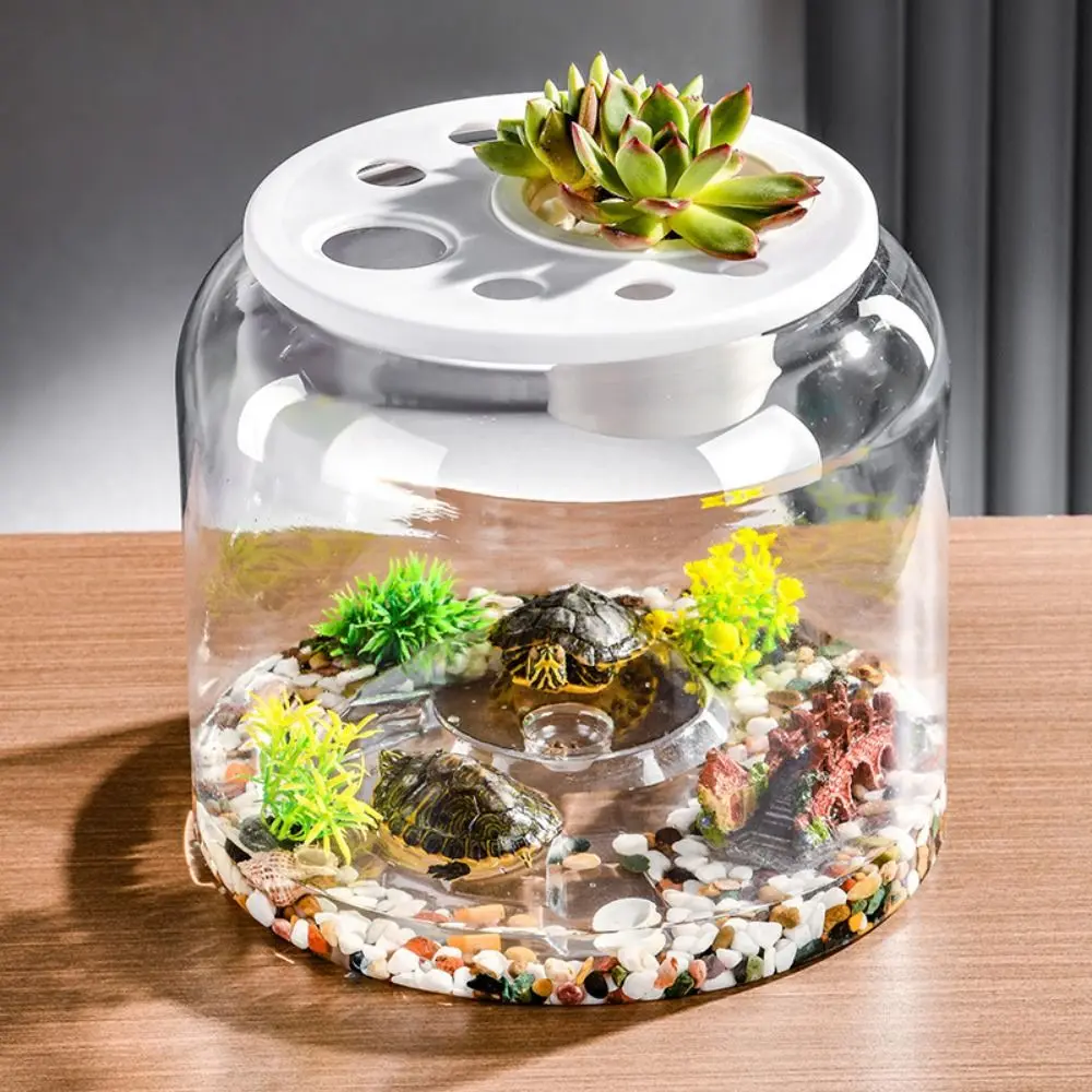 Hydroponic Planter Vase Transparent Round Fish Tank Unbreakable with Cover Desktop Turtle Tank Plastic Goldfish Bowl Home