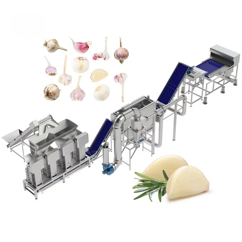 FOODLINE Food Processing Plant Garlic Peeling Machine Anti Scratch Outer Frame Overheat Protection Device