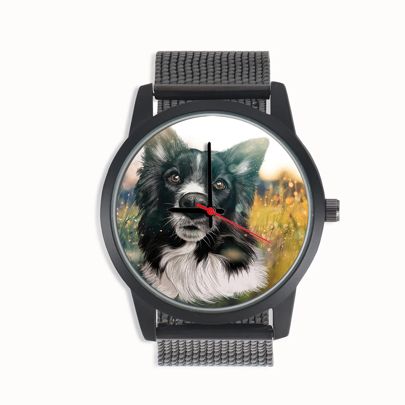 PRDogs-Montre-Bracelet à Quartz pour Homme, Design de Rue, Border Collie, Animalerie, Cadeaux Souvenirs pour la Famille spinale, Animaux de Compagnie Plus