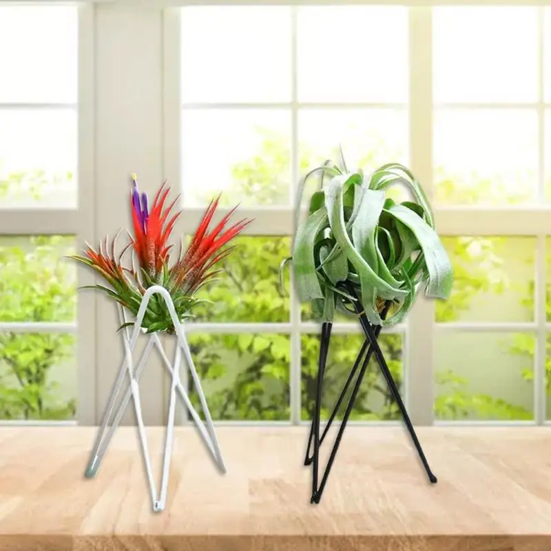 L4MB Air Plant Holder Metal Flower Pot Stand Geometric Iron Tillandsia Display Art