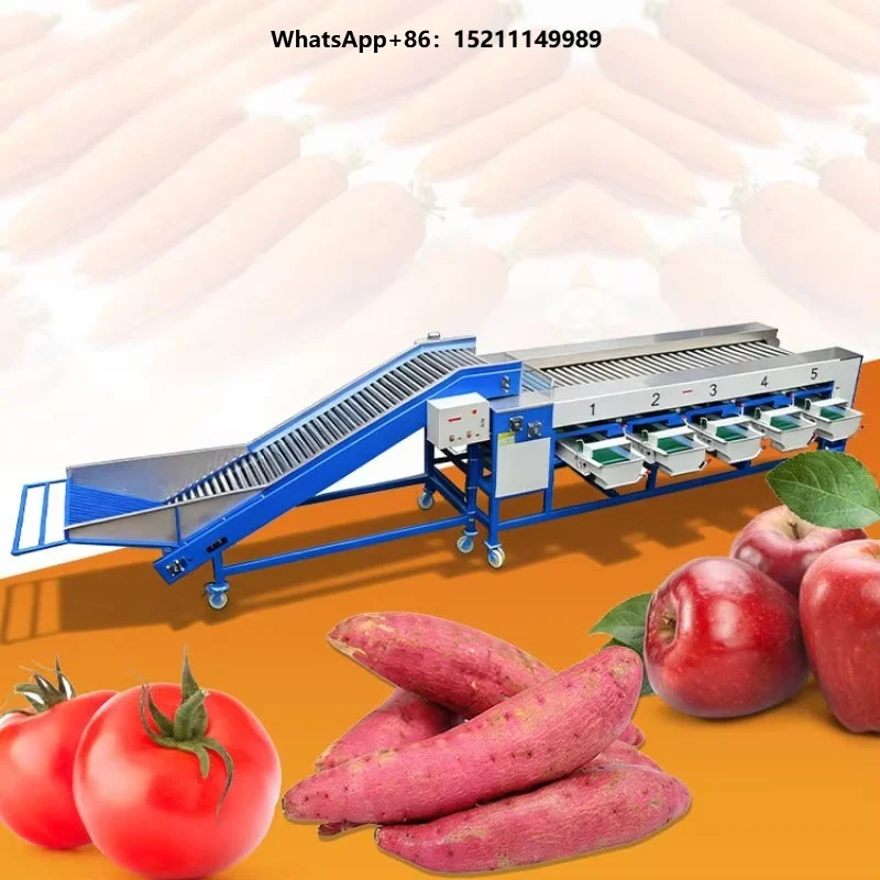 Potato Carrot Blueberry Conveyor Grade Machine Roll Fruit and Vegetable Wash Size Sort Machine