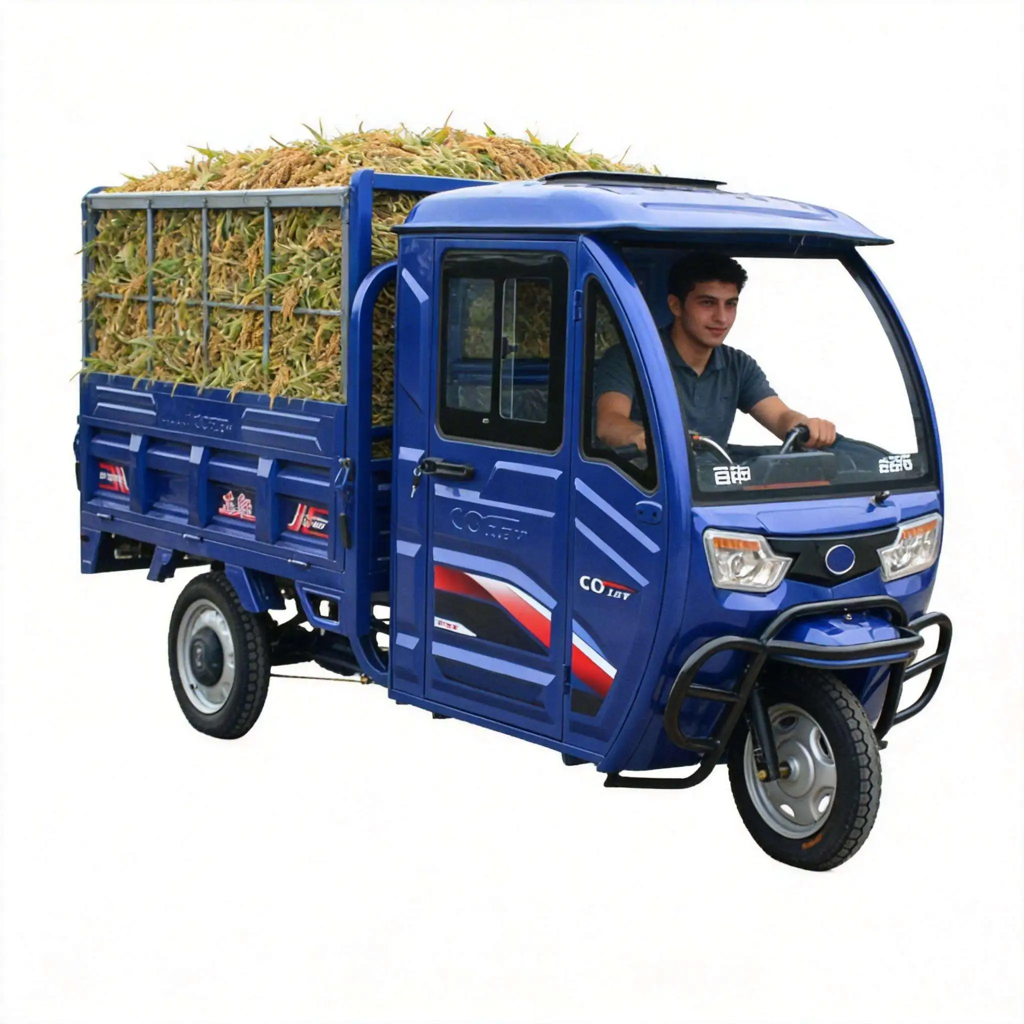 Electric Trike 3 Wheel Motorcycle Electric Cargo Tricycle 800kg Load 1800W Power Firewood Transport Yard Care Trash Garbage Dump
