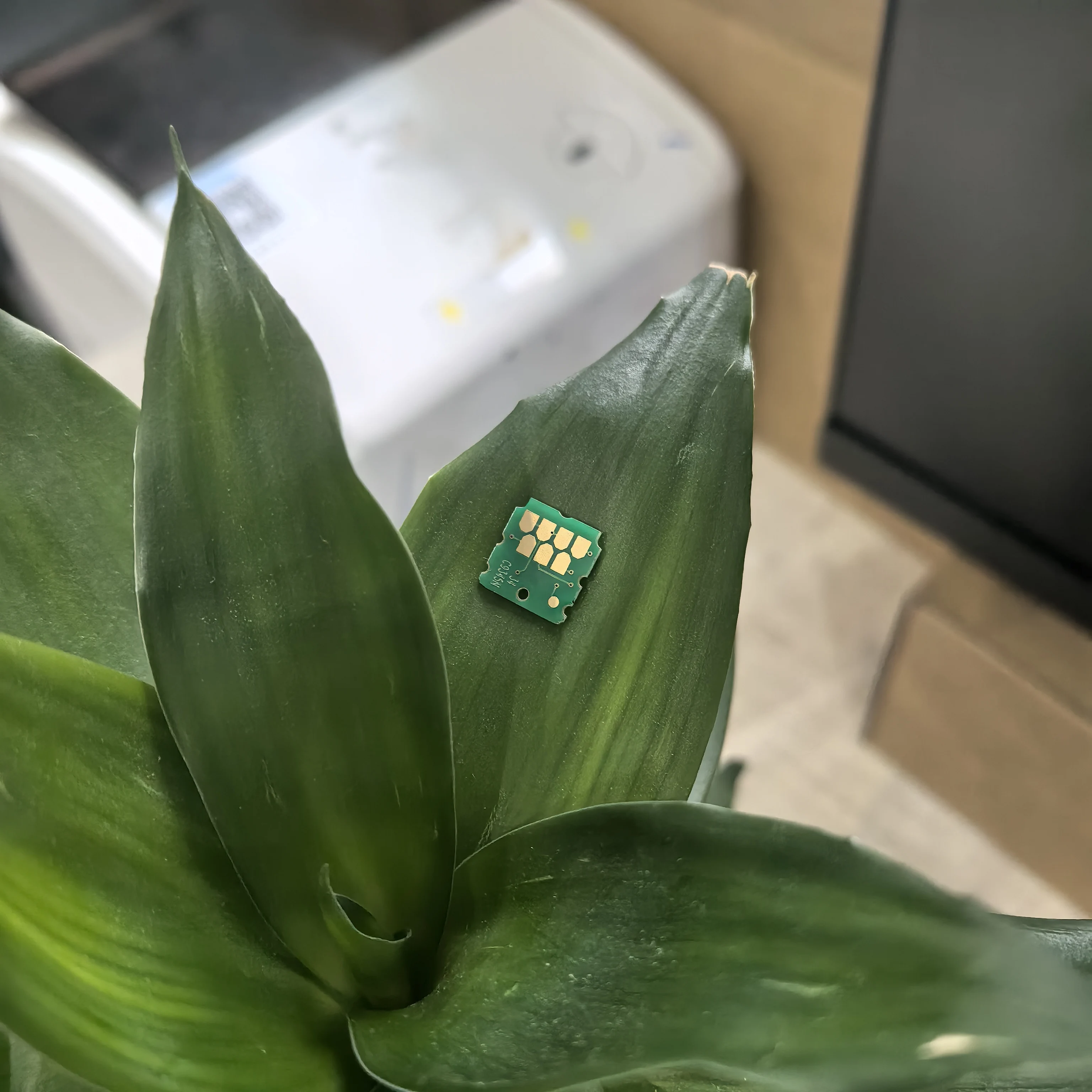 

10PC C9345 Maintenance Box Waste Ink Tank Chip for EPSON L8050 L8160 L8180 L15158 L15168 L15180 L18050 ET 8500 8550 18100 M15180