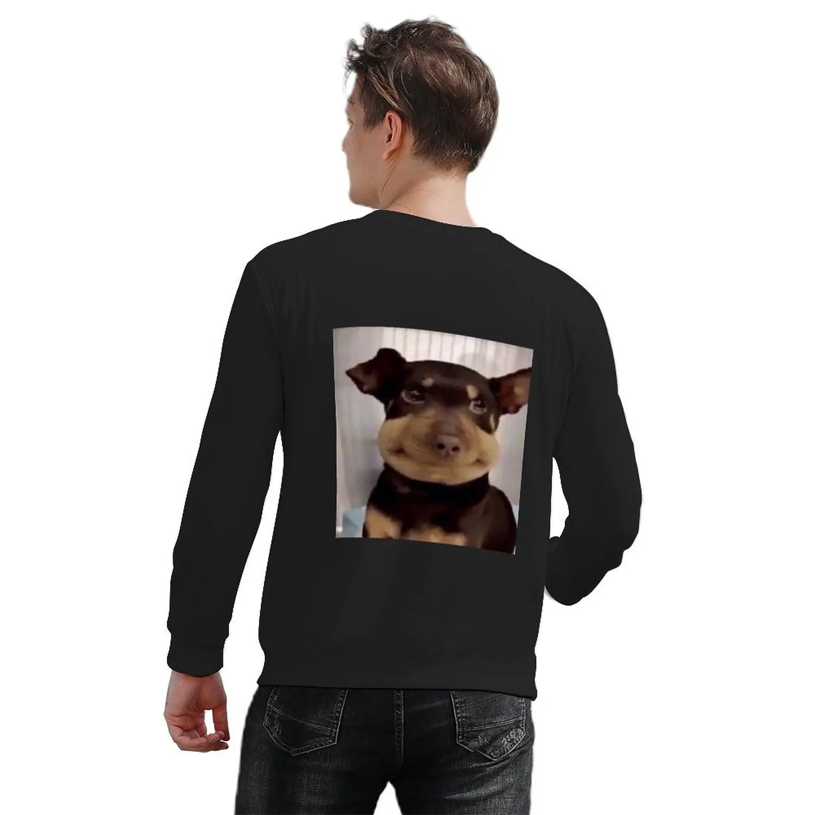 Figglebottom the Dog Pullover ملابس رجالي ملابس رجالية ملابس رياضية رجالية جديدة في هوديس وعرق قميص
