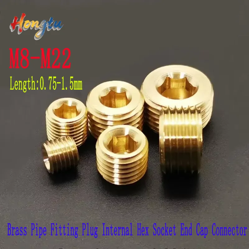

Metric Male Thread Brass Pipe Fitting Plug Internal Hex Socket End Cap Connector Adapter M8 M10 M12 M14 M16 M18 M20 M22