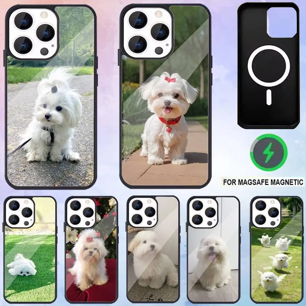 

China Line Puppy Maltese Dog Phone Case For iPhone17,16,15,14,13,12,11 Plus,Pro Max Magnetic Magsafe Wireless Charging