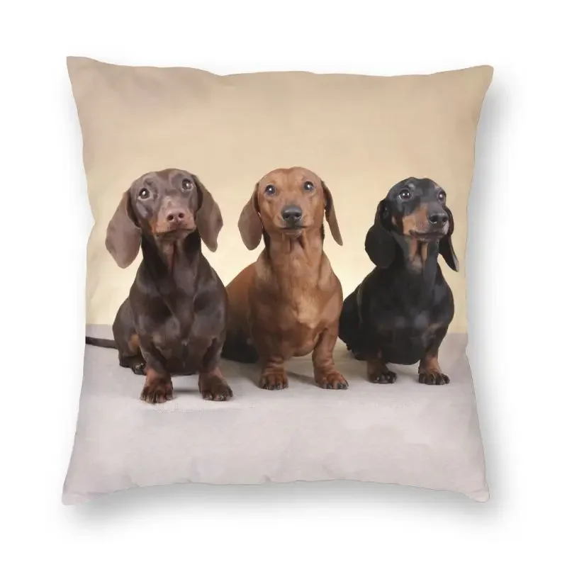 Dachshund Pillow Cover Home Decor Badger Sausage the Wiener Dog Cushion Cover Throw Pillow for Living Room Double-sided Printing