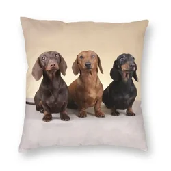 Funda de almohada de Dachshund para decoración del hogar, cubierta de cojín de perro salchicha de tejón, Impresión de doble cara para sala de estar