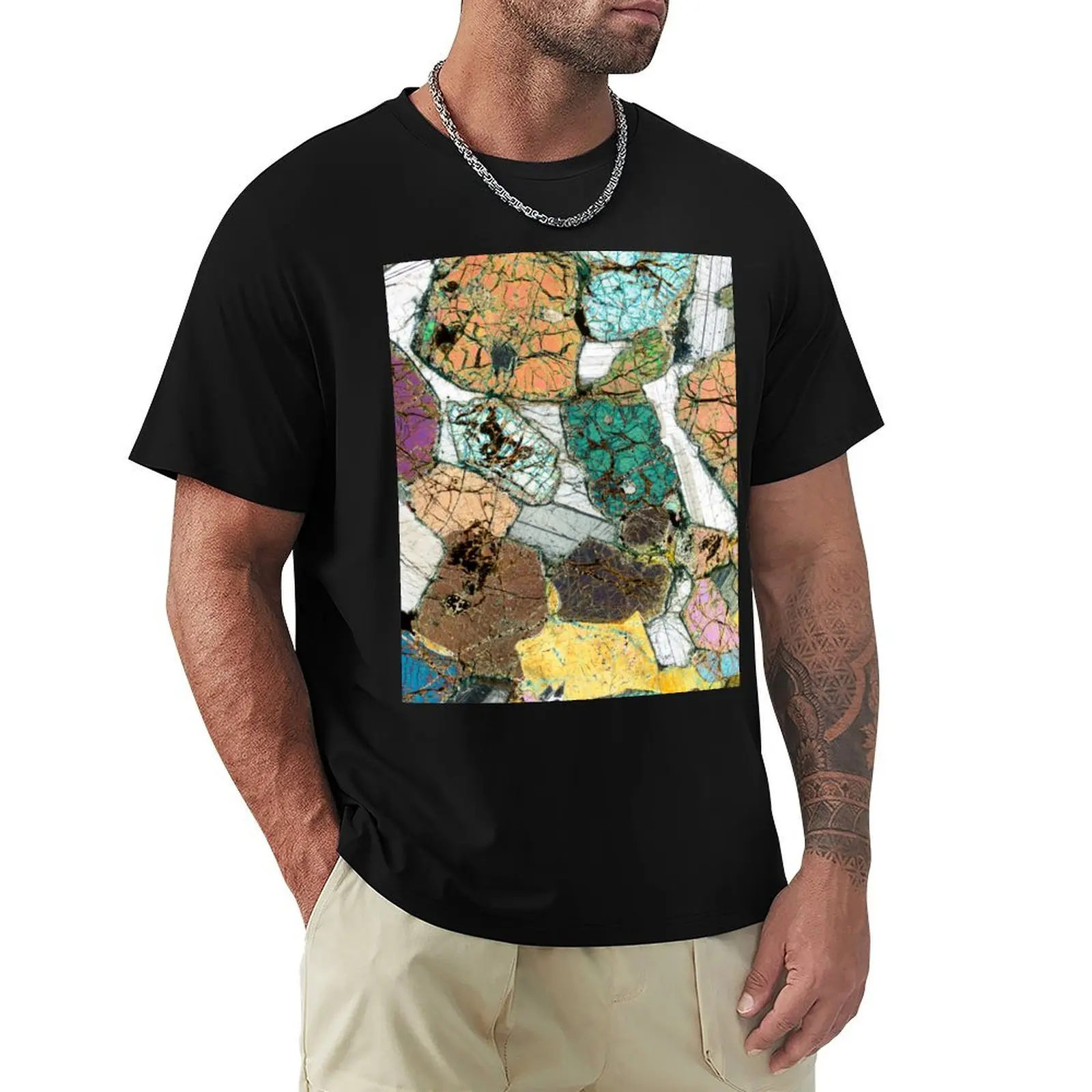 Geology gift - Peridotite from Ardnamurchan, Scotland Rock Thin Section Microscope Photo T-Shirt man t shirts for men T-Shirt