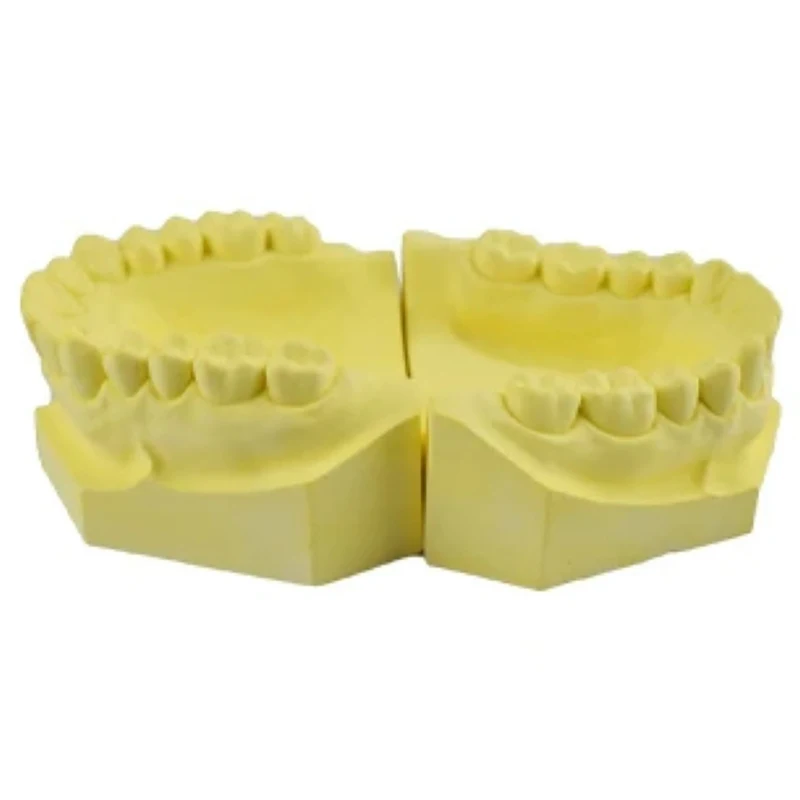 

Dentist Gypsum Model Teeth Full Port Super Material Dentures Model Dentistry Teaching And Practicing Shaping Gypsum Dental Mold