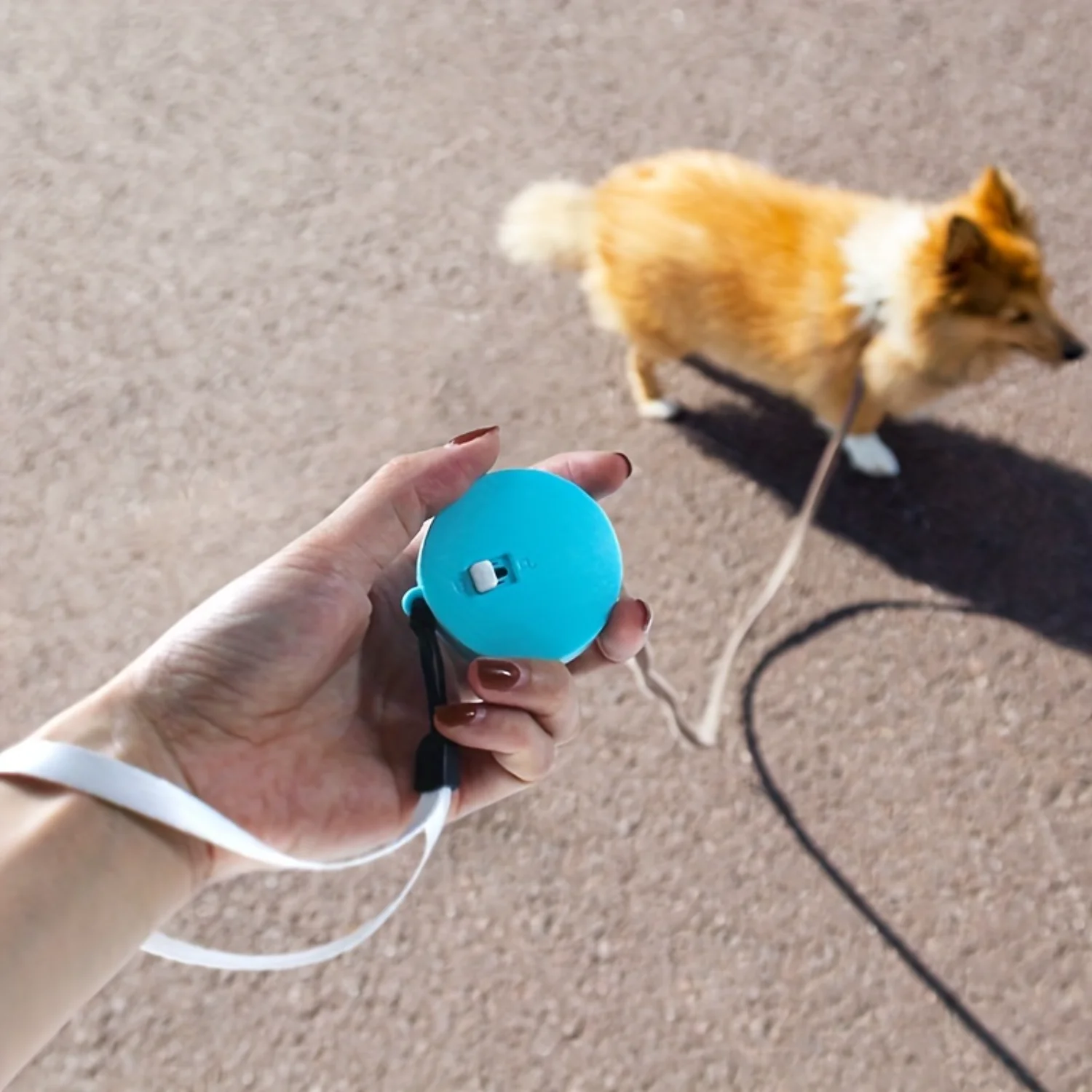 

Compact 6Ft Retractable Dog Leash - Durable Nylon, Easy-Carry Design For Small Breeds