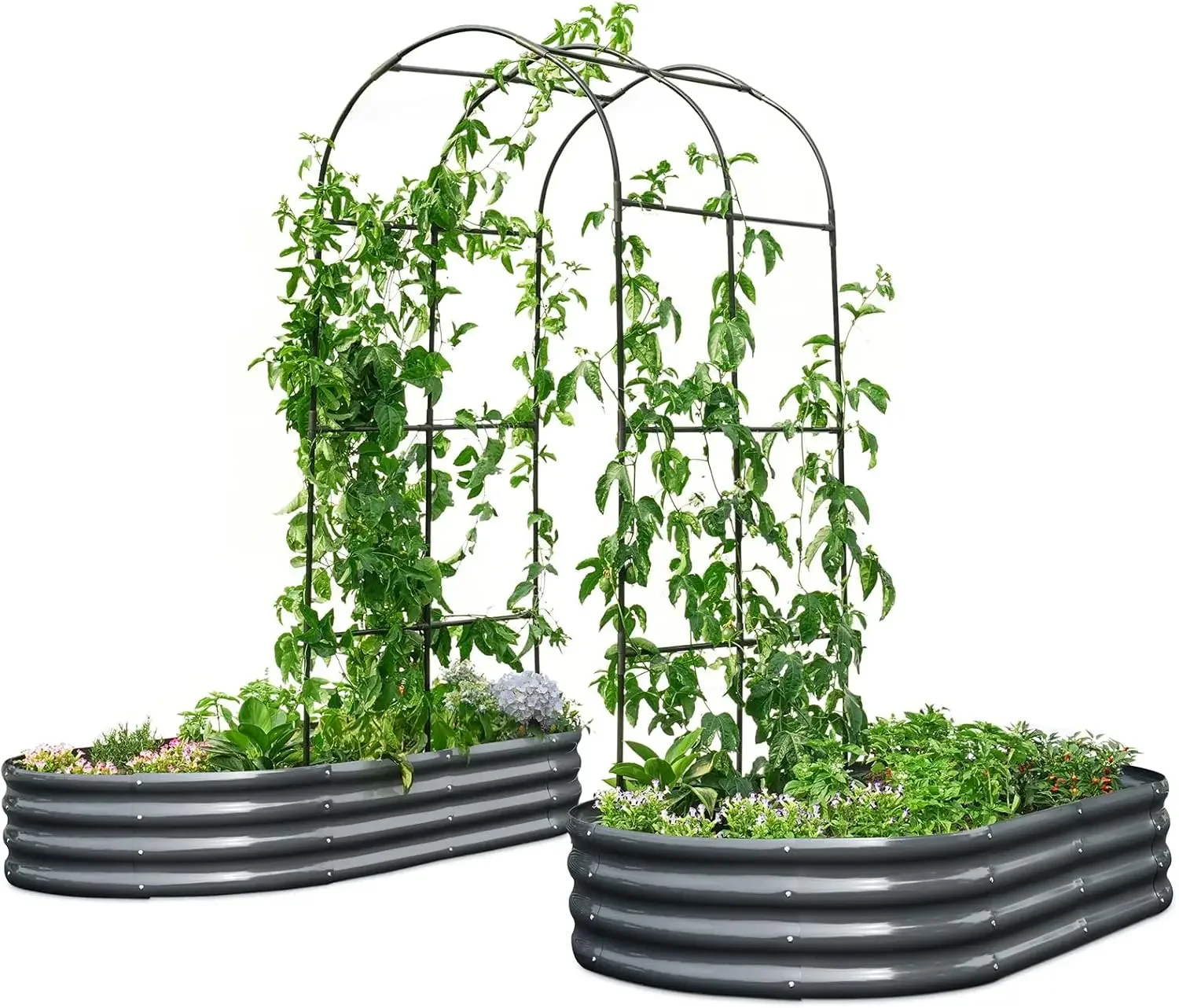 KING BIRD Raised Garden Bed with Arched Trellis Galvanized Planter Garden Box Outdoor for Gardening, Climbing Vegetables