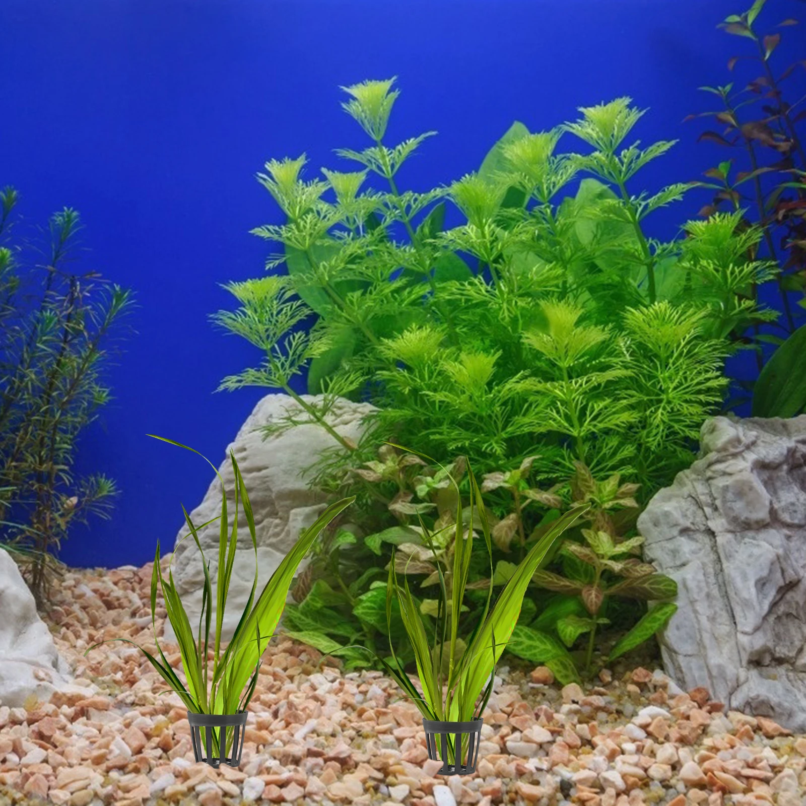 

50pcs Water Plant Basket Plastic Hydroponic Baskets For Fish Tank Aquarium Pond Garden Supplies Hollow Planter For Soil Water