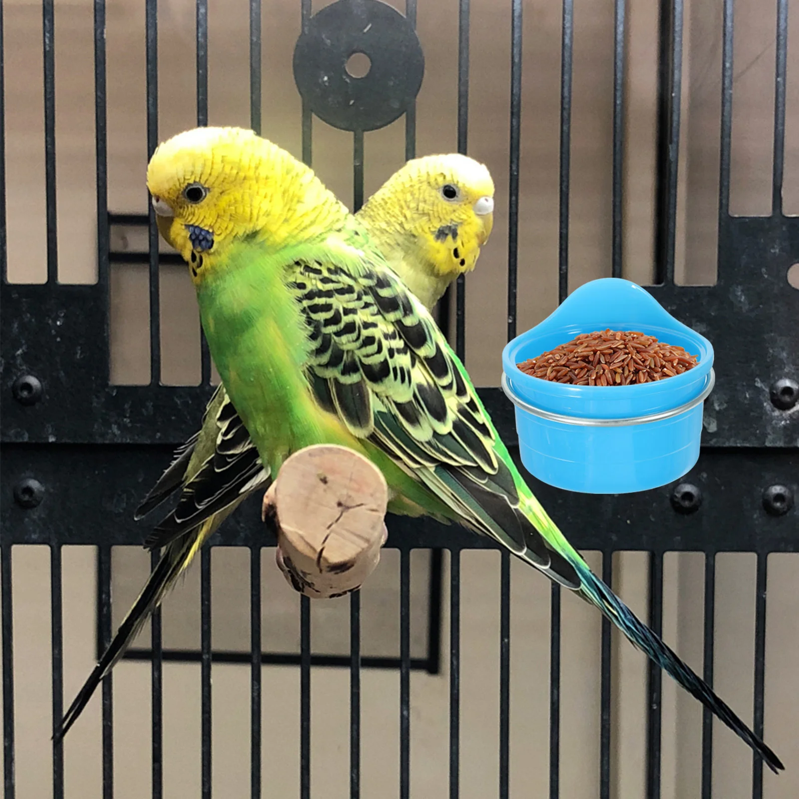 

2Pcs Bird Food Bowl Plastic Parrot Feeder Hanging Cage Food Container Easy to Clean Reusable Bird Bowls for Cage