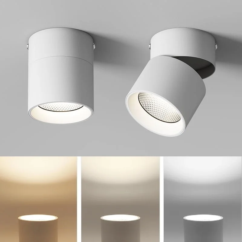 Modern Wall lamp Round Surface Mounted LED Downlights Mounted Ceiling Lamps Spot Light White Neutral Warm LED DownLight