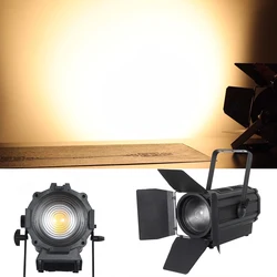 Profissional manual Zoom LED Fresnel Lens Spotlight, branco quente frio, luz de superfície de audiência para estúdio, teatro de casamento, 200W