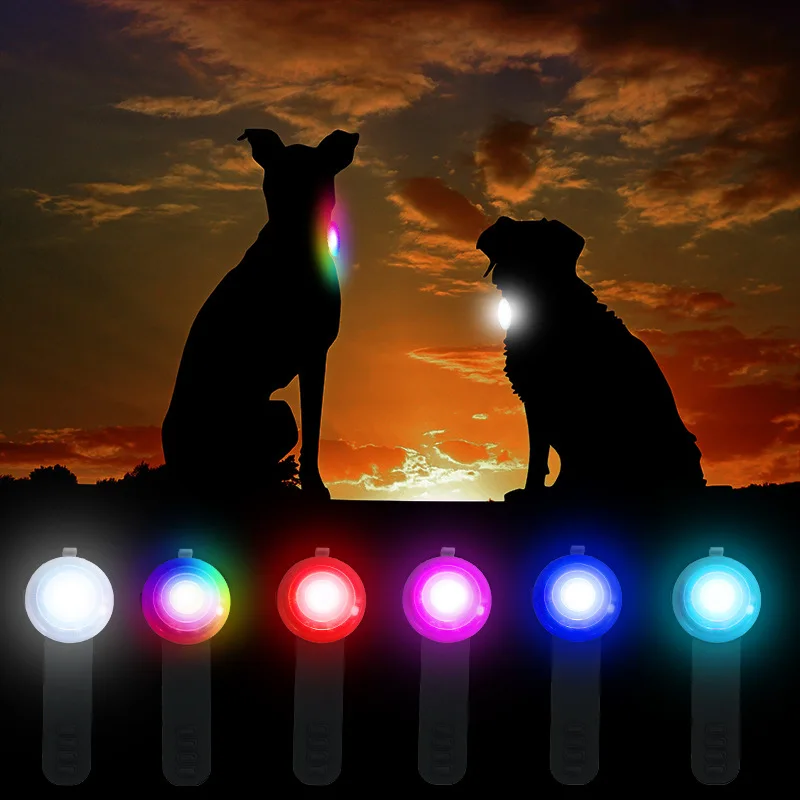 Ciondolo per collare per cani a LED Ricaricabile per animali domestici Carica USB Collare luminoso Ciondolo per animali domestici Luce per collana