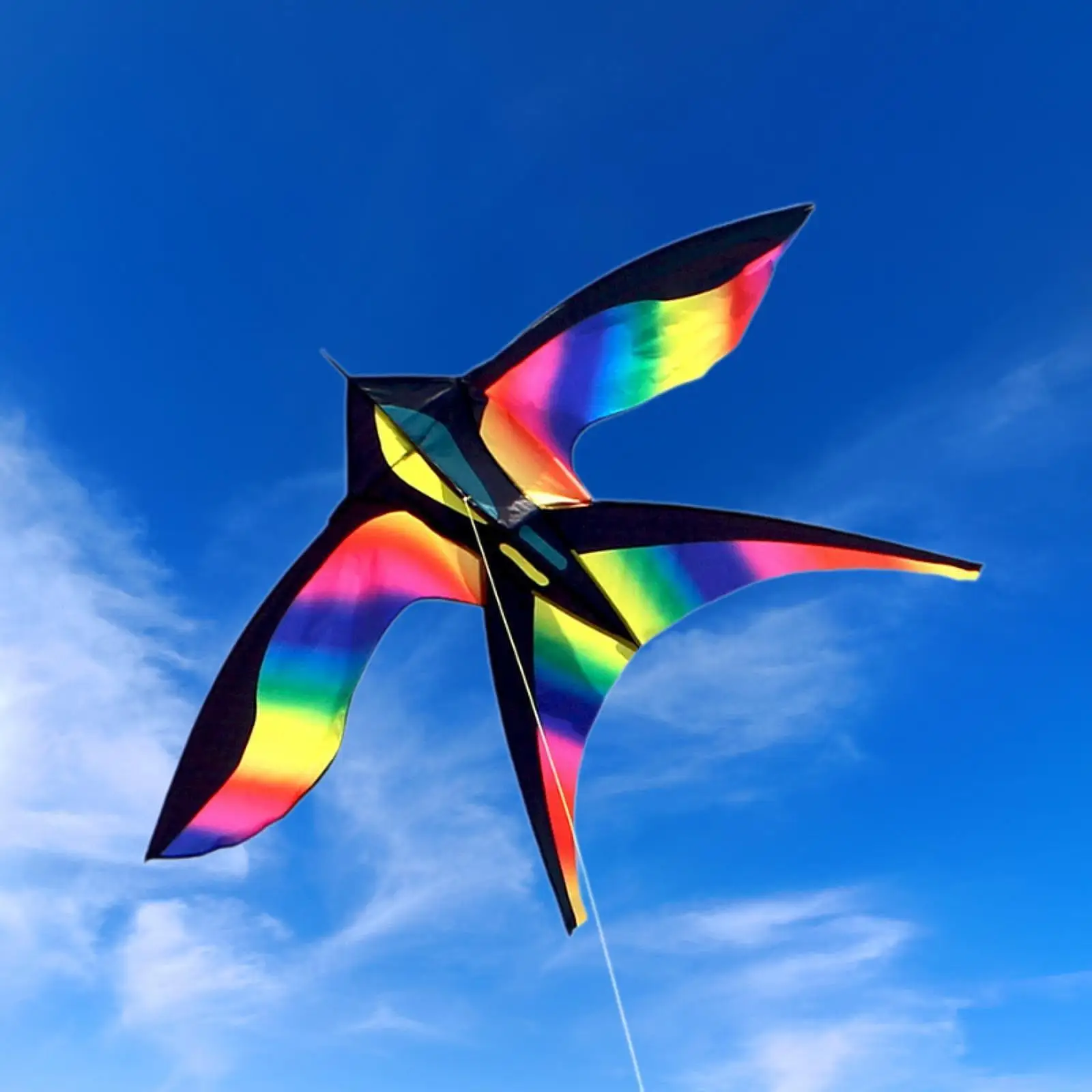 Kite Kiting professionnel coloré pour voyage dans l'arrière-cour (chaîne non incluse)