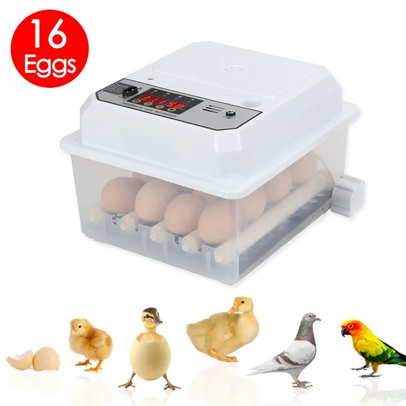 

Fully Automatic Turning Egg Incubator 16 Eggs Dual-electric Temperature Control Hatching Machine Chicken Duck Quail Bird Brooder