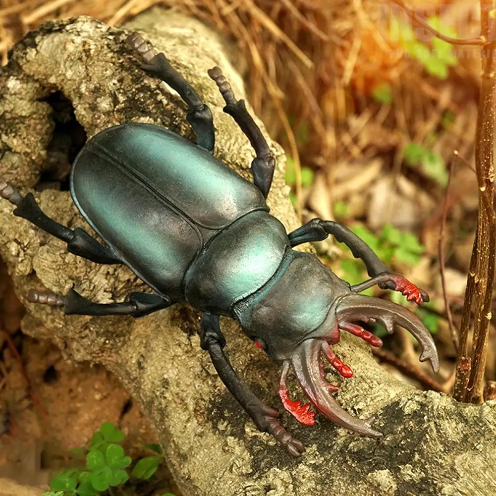 Simulation Insect Toys Rhinoceros beetle Ladybug Stag Science Doll beetle Insect Toy Animals Education Model toys Prank L8E6