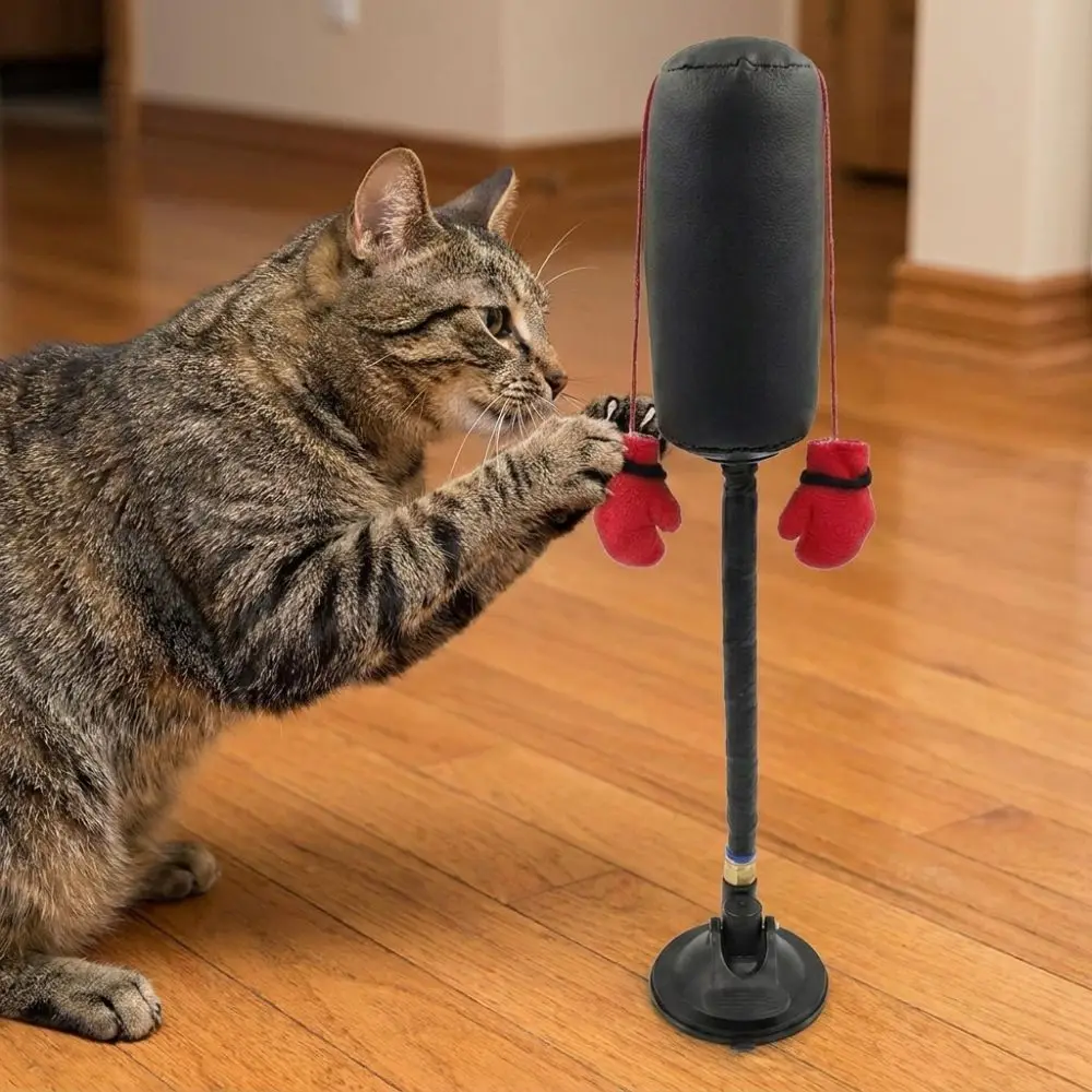 Suction Cup Cat Boxing Toy Scratch Trainer Self-standing Interactive Cat Toy Scratch Resistant Bite Resistant - view 2