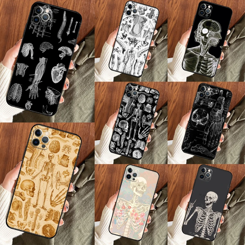 Medical Skeleton Anatomy Phone Case For iPhone 11 12 13 14 15 16 Pro Max Back Cover For iPhone X XS Max XR Plus