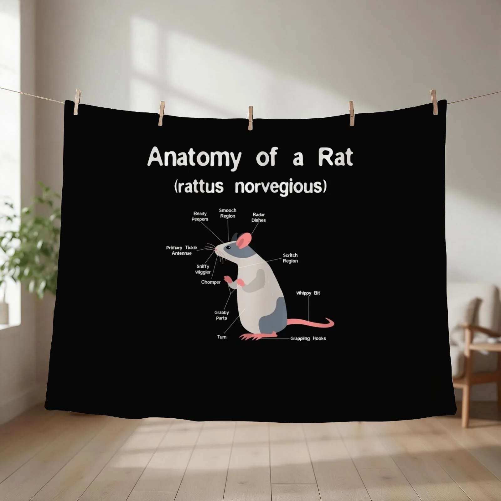 Anatomy of Pet Rat print - Funny Rat Rodent Pet product Throw Blanket Plaid on the sofa Soft Beds Vintage Blankets