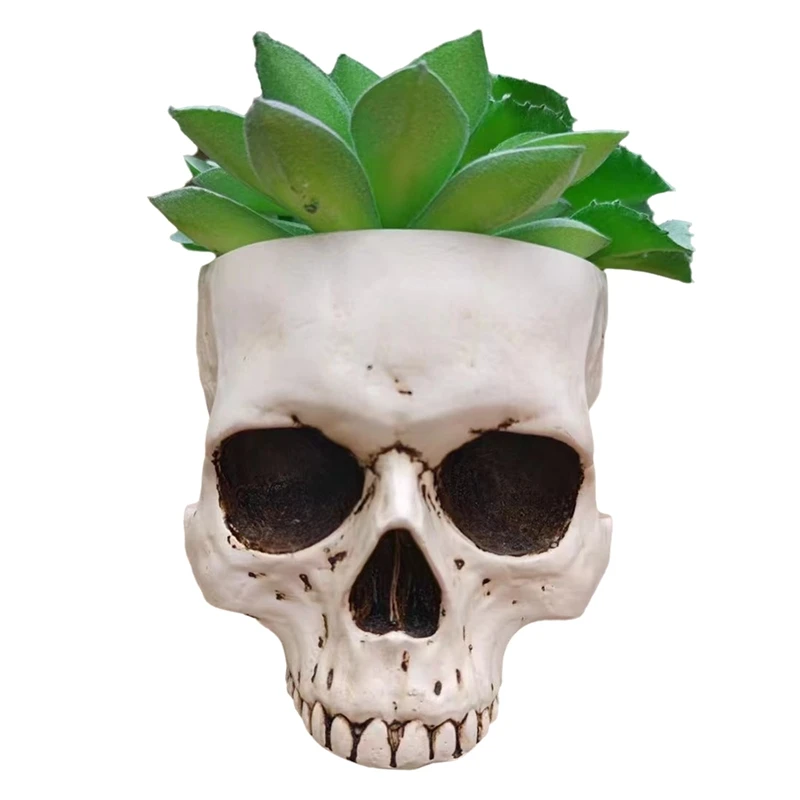 

Outdoor Garden Decoration Halloween Skull Decoration Succulent Flower Pot Gothic Home Decoration