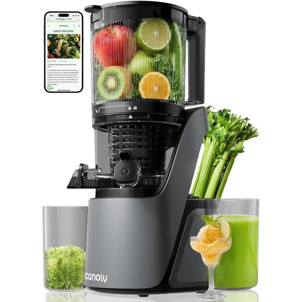 

C16 Cold Press Juicer, 6" Extra Wide Feed Chute with Dual Strainers (Juice & Sorbet), Powerful AC Brushless Motor, Self Precut
