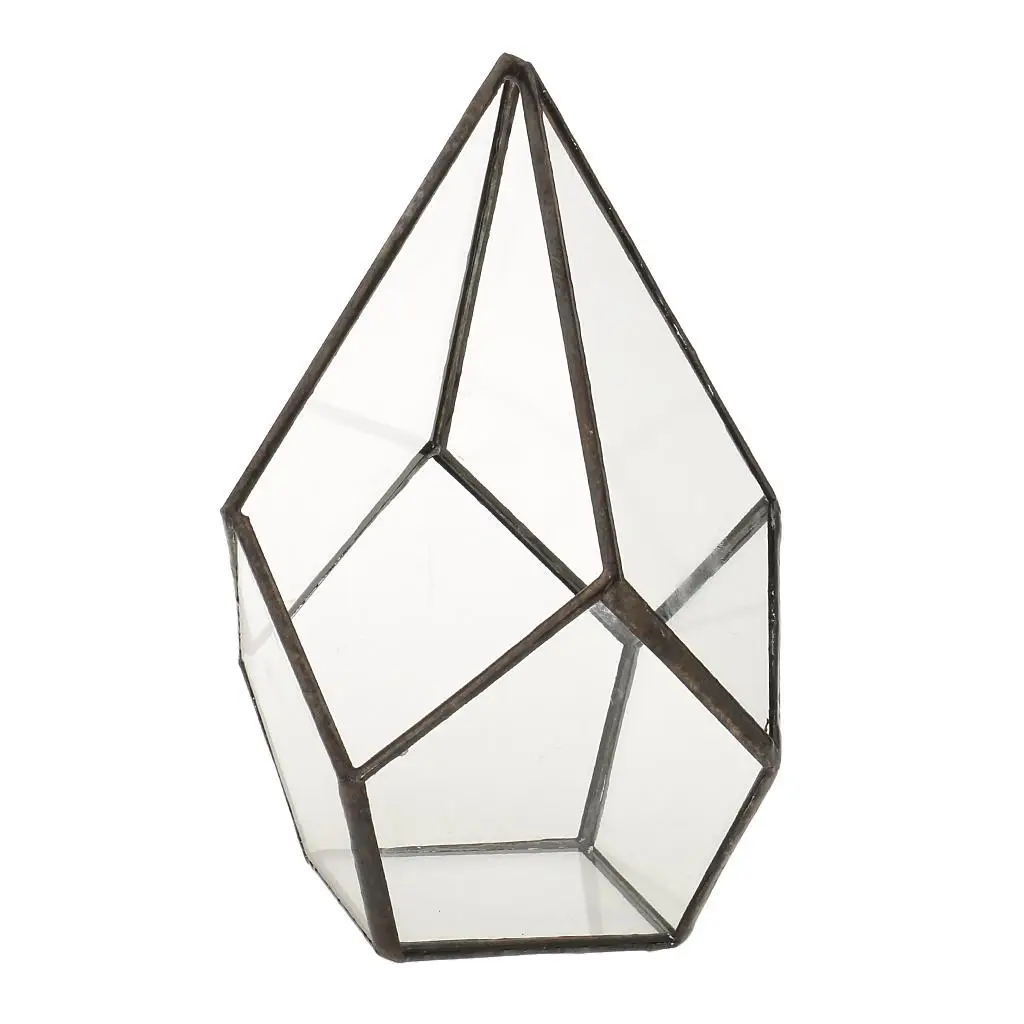 Geometric Shape Glass Flower Pot Terrarium Box Moss Succulent Plant Display Case Holder