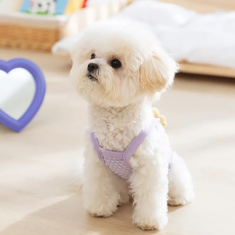 Spring and Summer Dog Fresh Princess Style 3D Flower Traction Strap Cat Two legged Pet Teddy Clothes Cute Flower Vest