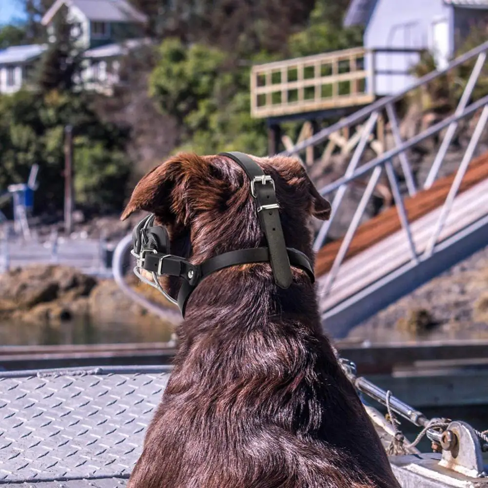 สัตว์เลี้ยง Muzzle Anti-Bite Anti-Barking Mouth หน้ากากป้องกันสำหรับสุนัขขนาดกลางขนาดเล็ก