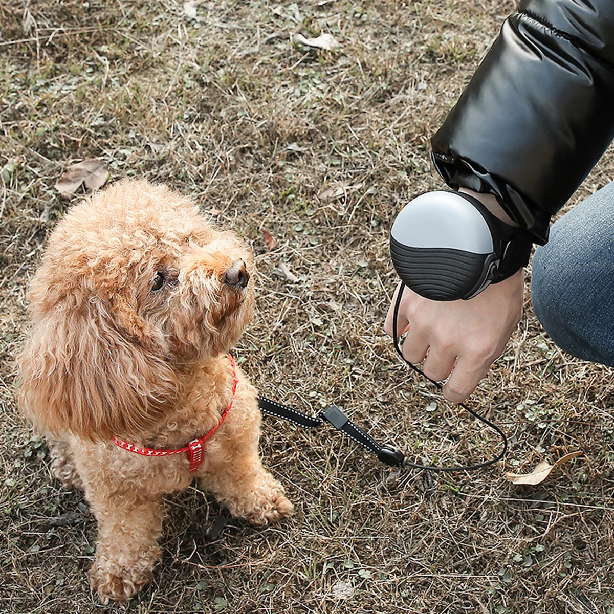 

1PC Automatic Retractable Dog Walking Leash Nylon Pet Pulling Rope Adjustable Lightweight Comfortable for Daily Use