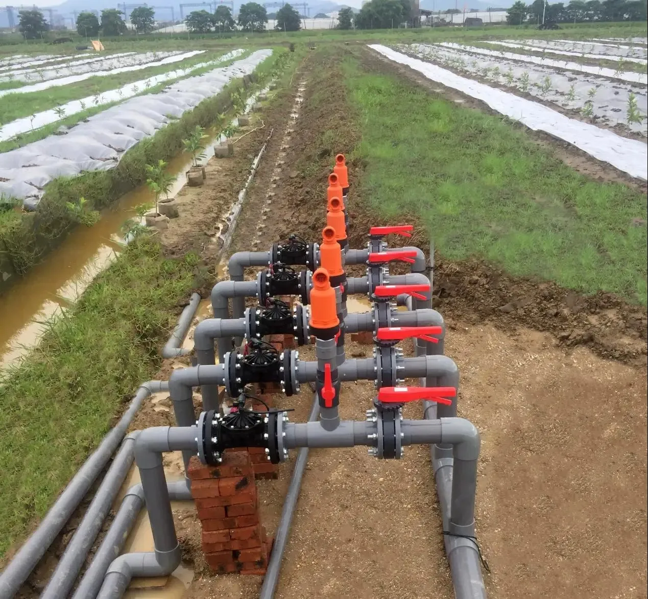 2인치 NC 관개용 솔레노이드 밸브 220V 12V 24V DC 래칭 드립 관개 시스템 유압 제어 밸브 (농업용 관개)