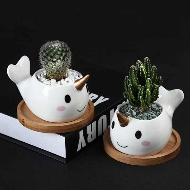 Cartoon Narwhal Animal Succulent Plant Pot Fleshy Pot Planter with Drainage Hole Ceramic Bonsai Vase Garden Art Decoration
