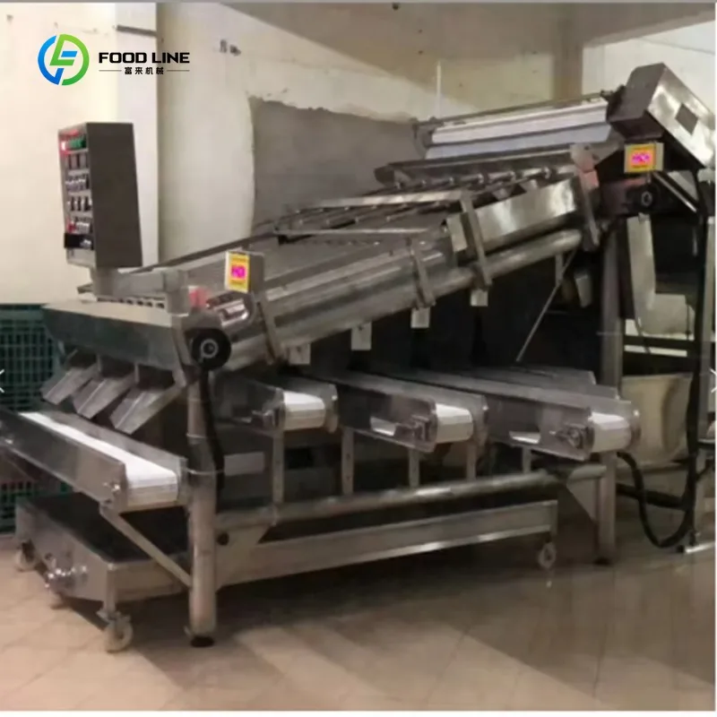 Shrimp Processing Shell Removing Machine for Commercial Seafood Industry Use Custom