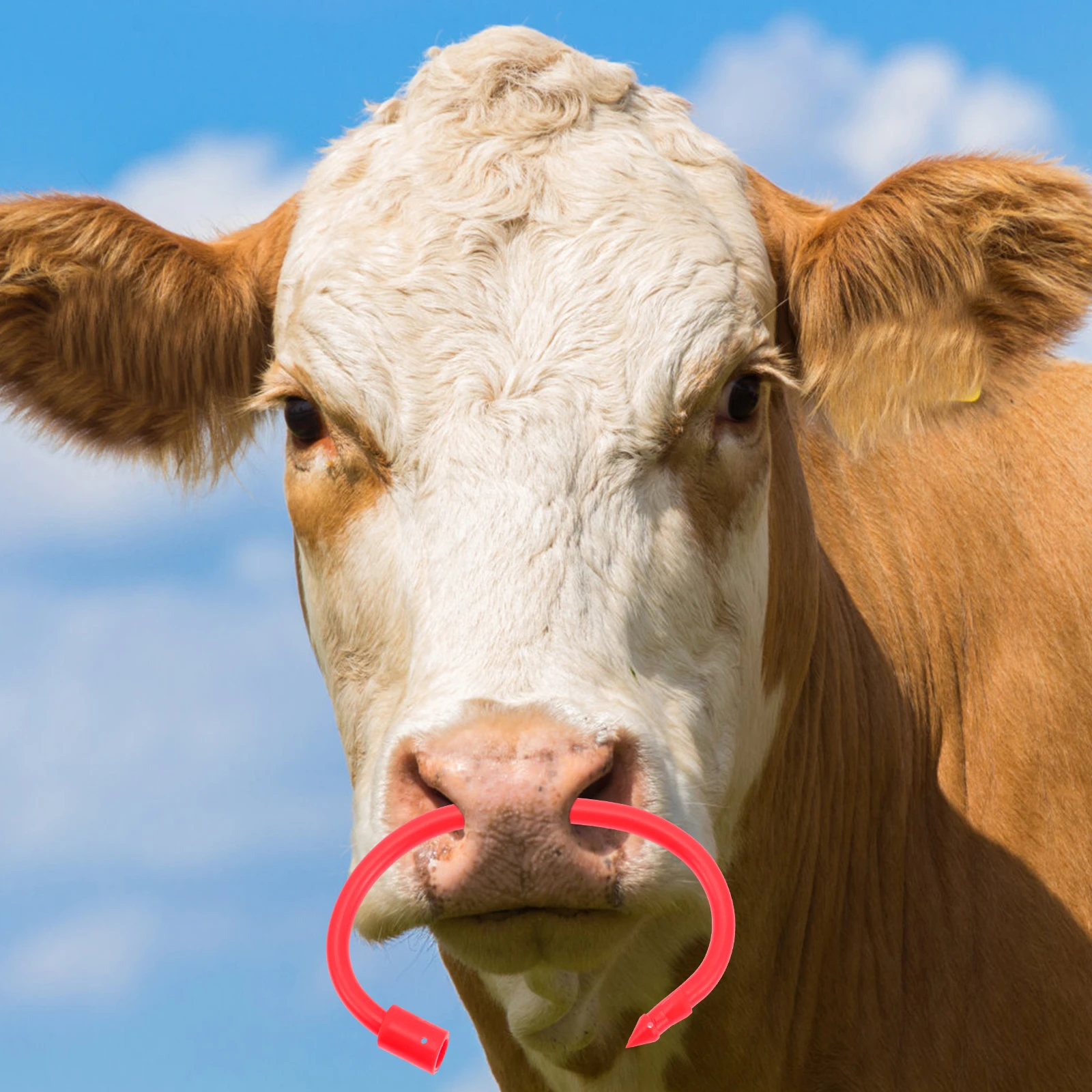 4Pcs Cow Nose Ring Simple Cattle Circle Durable Nylon Livestock Traction Tool Farm Equipment Safe Reliable Pet
