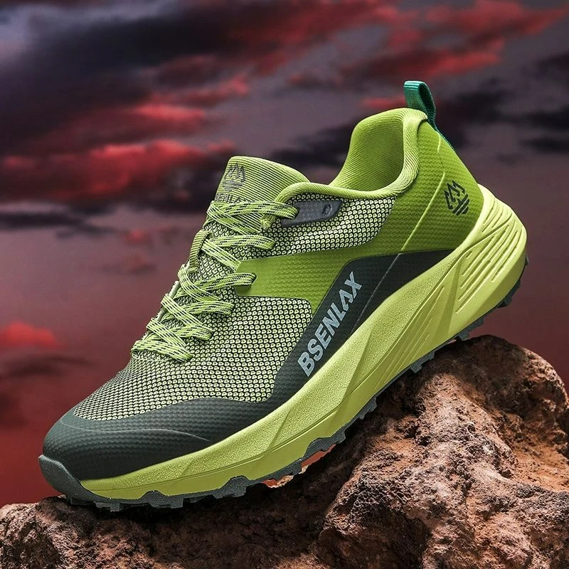 2026 Professional T…