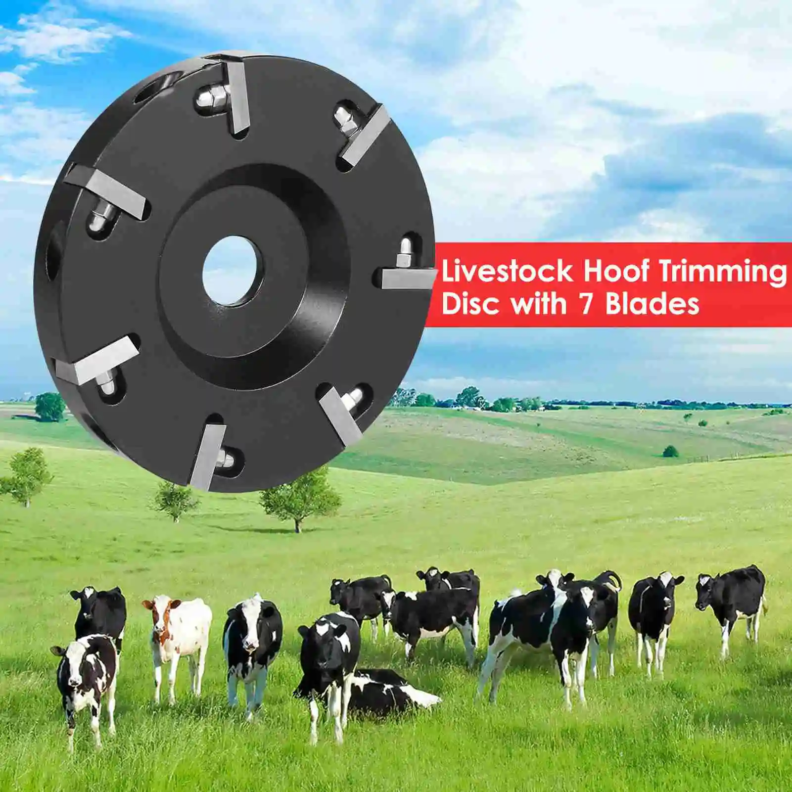 

Livestock Hoof Trimming Disc Plate Hoof Trimming Discs Hoof Grinding Discs Claws Hoof Care Tool For 100mm angle grinder