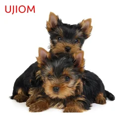 UJIOM for Animal Yorkshire Terrier Puppy Wall Sticker Waterproof Vinyl Decal Living Kitchen Wardrobe Bathroom Personality Decor