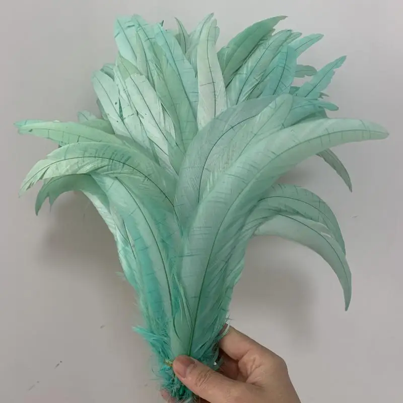 Rooster Tail Feather 100pcs/lot 25-45CM Plumes Natural Cock Mint Green Brown DIY Clothing Jewelry Accessories Stage Performance