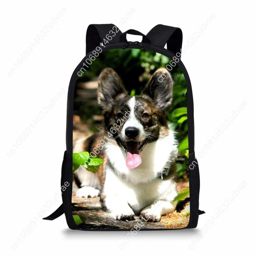 Mooie Dieren Welsh Corgi Pembroke Print Kinderen Schooltassen Orthopedische Rugzakken Kinderen Meisjes Jongens Schooltas 3d 2021