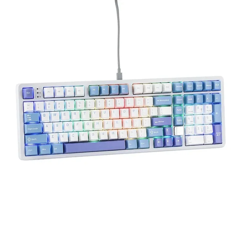 Leobog Hi98 Tastiera meccanica Tastiera da gioco in alluminio cablata 101 tasti Struttura della guarnizione Tastiere da gioco E-Sports hot-swap per PC